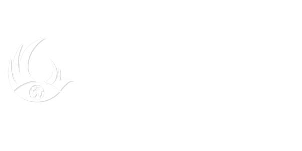 精惠神器