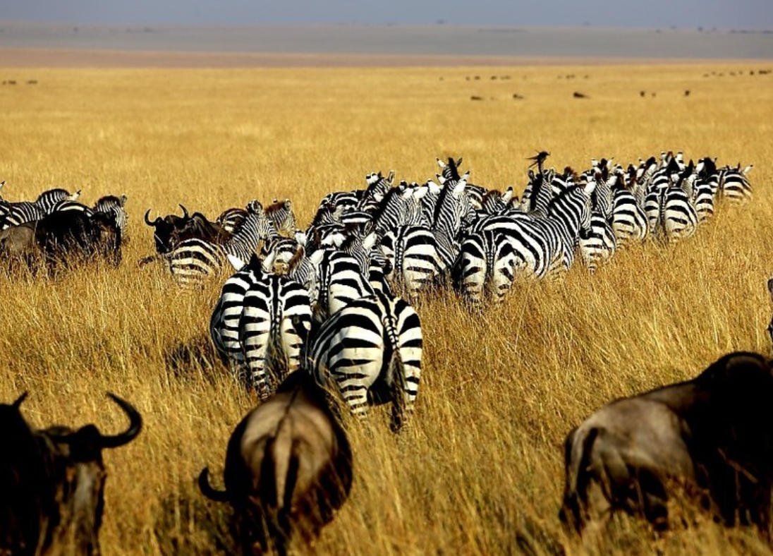 步履不停，遇见地球另一端的奇遇